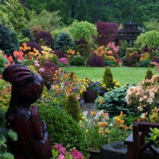 Park szoborral