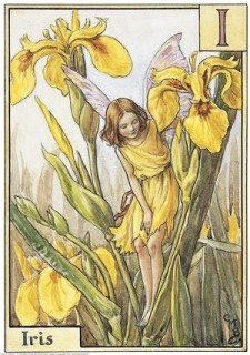 Liliom