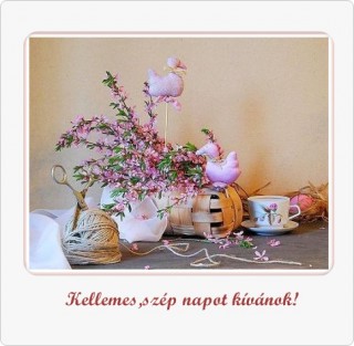 Napot