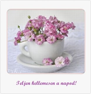 Napot