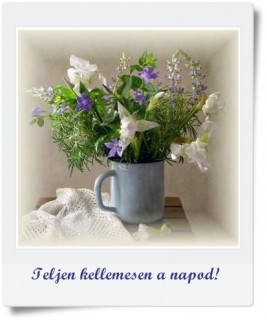 Napot