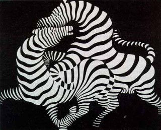 Vasarely zebra