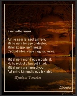 Szilágyi Domokos