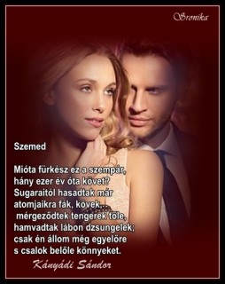 Kányádi Sándor