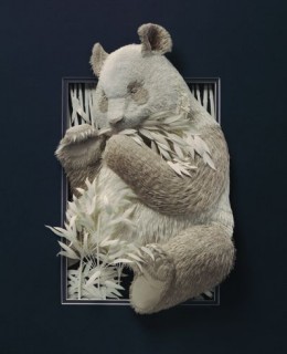 Pandamaci