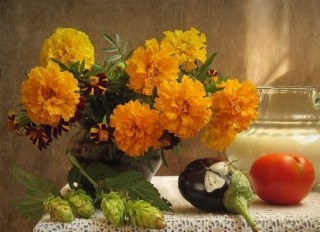Tagetes